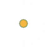 image d'une marguerite